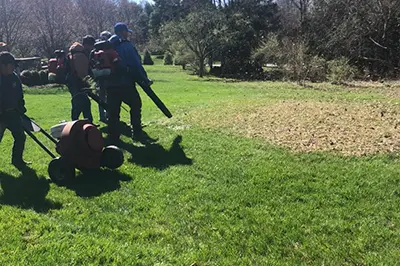 Seasonal cleaning service