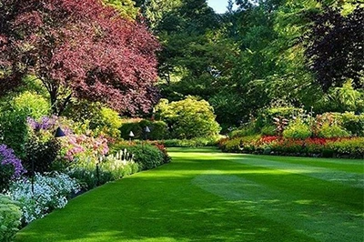 land scaping service