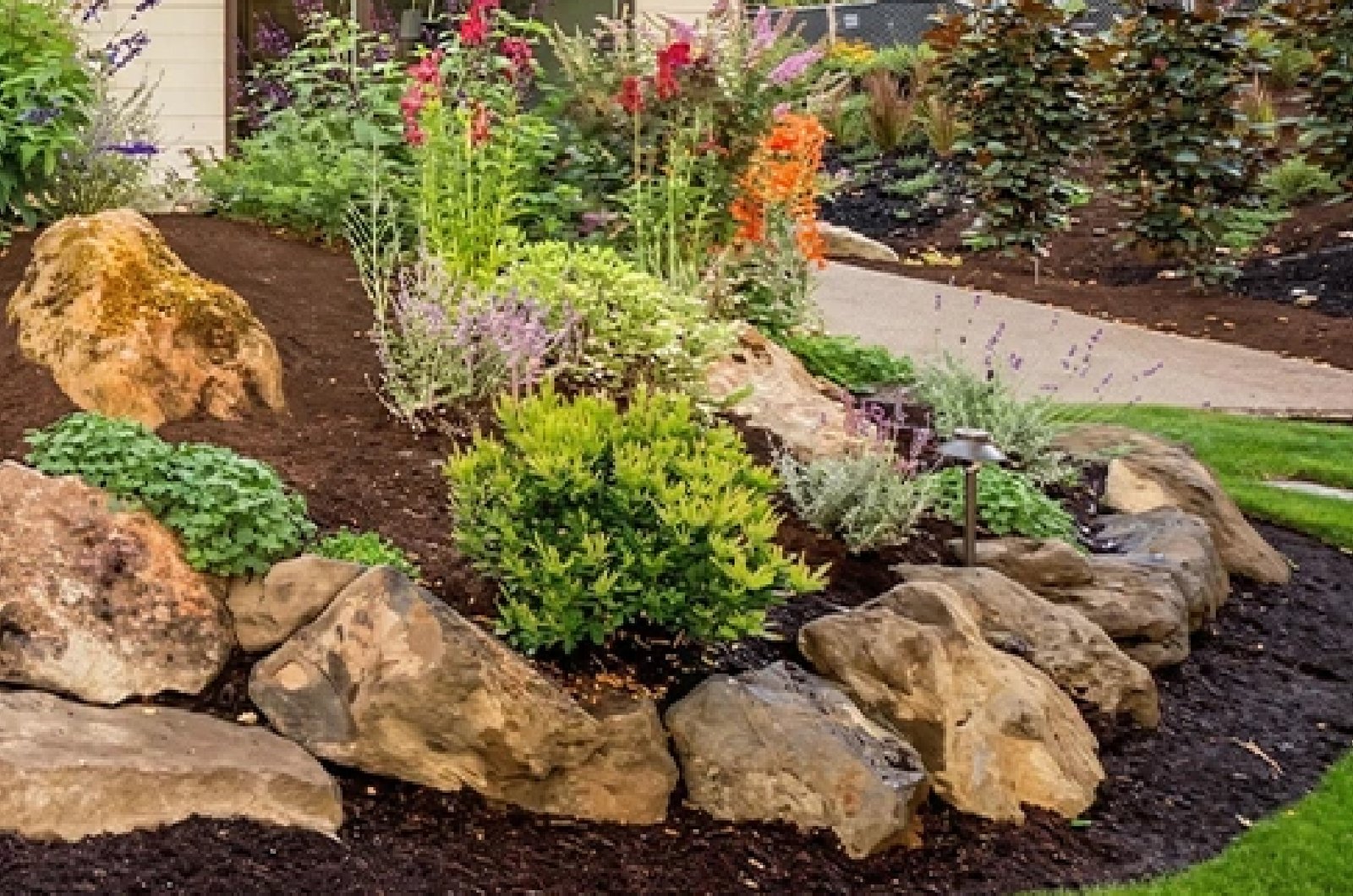 tree planting service 01