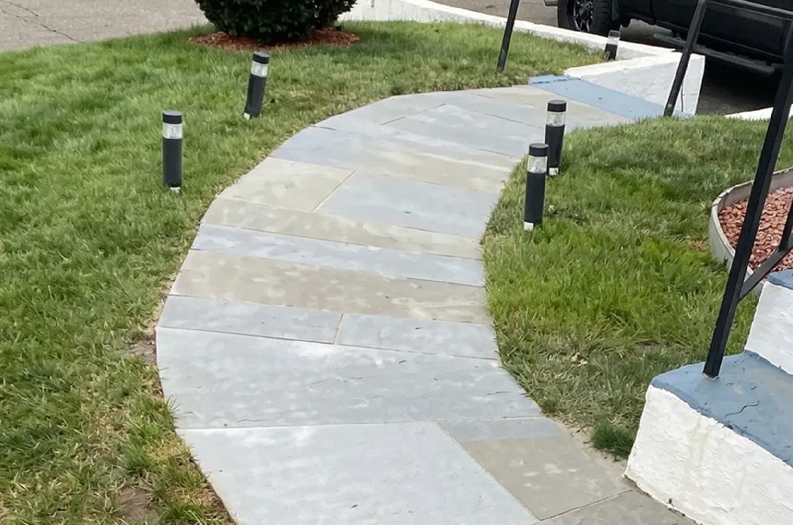 tree planting service 02