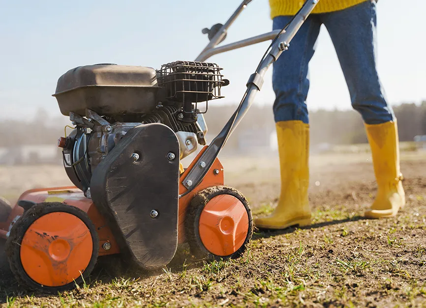 Core Aeration and Fall Overseeding