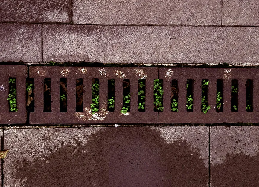 Drainage Water Management