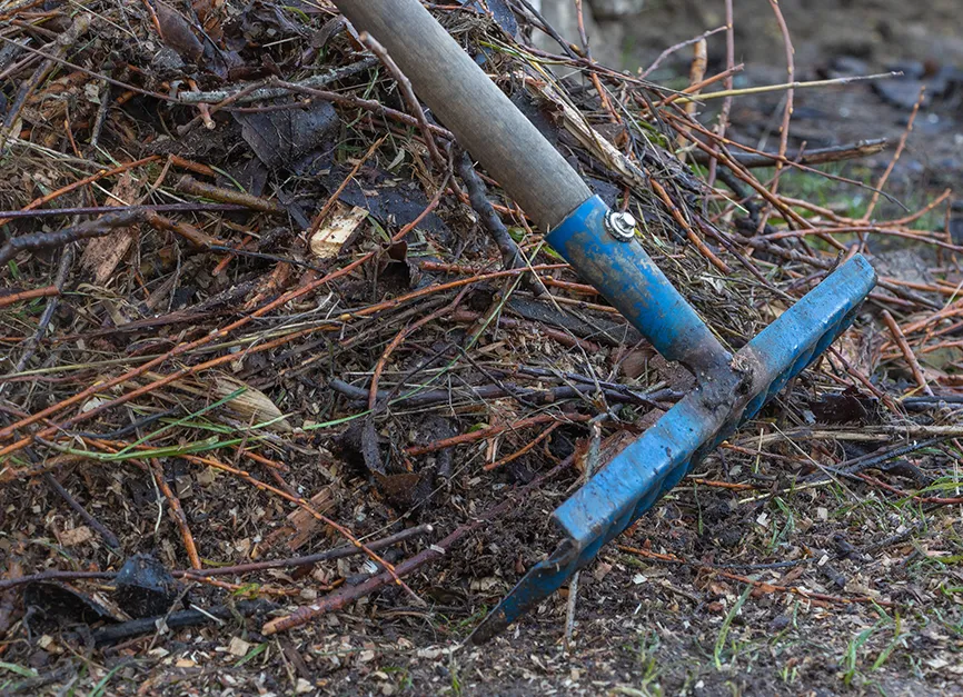 Fallen Stick Branch and Storm Debris Cleanup