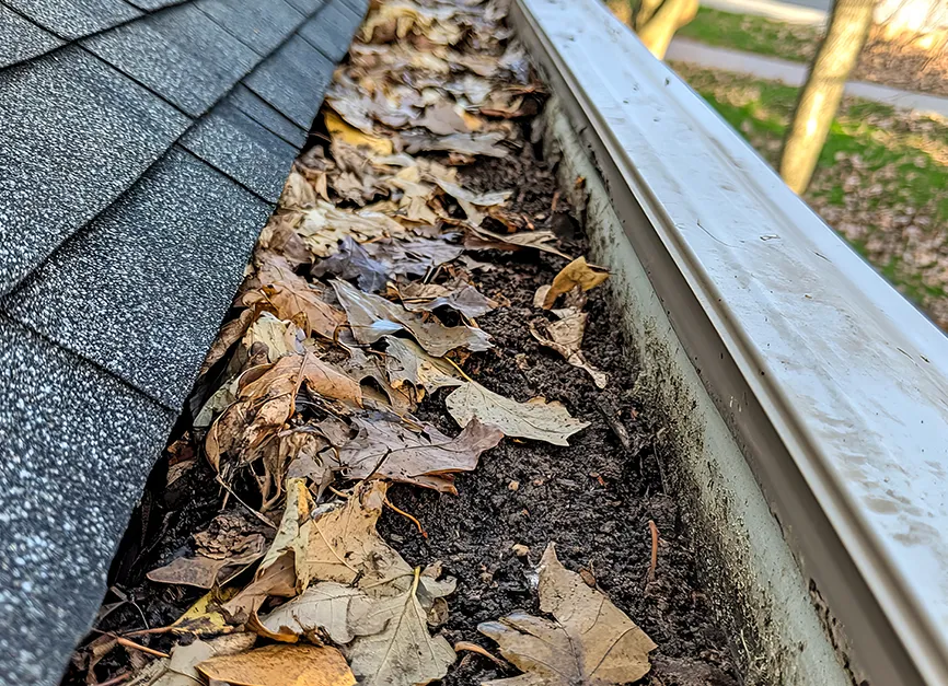 Gutter and Downspout Debris Clearing
