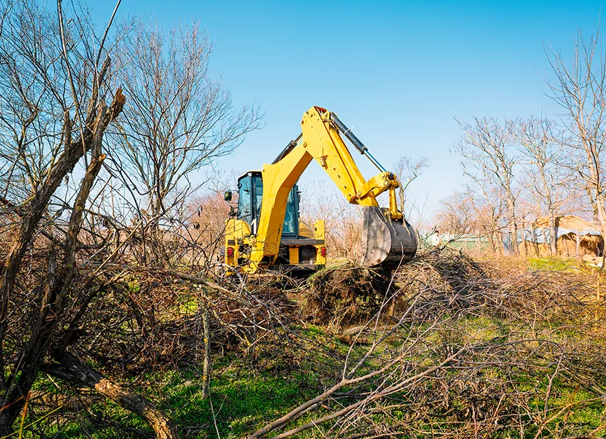 Heavy Machinery Root Ball