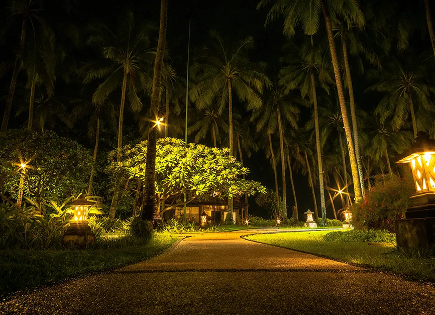 Landscape Lighting Installation