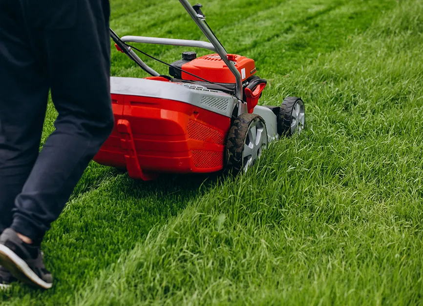 Lawn Care Maintenance