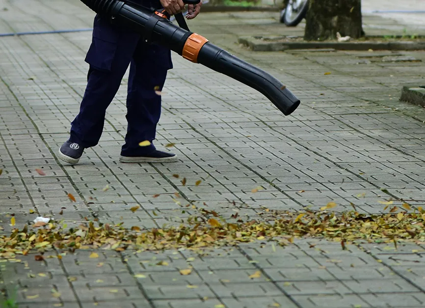 Leaf Gathering and Curbside Vacuum Removal