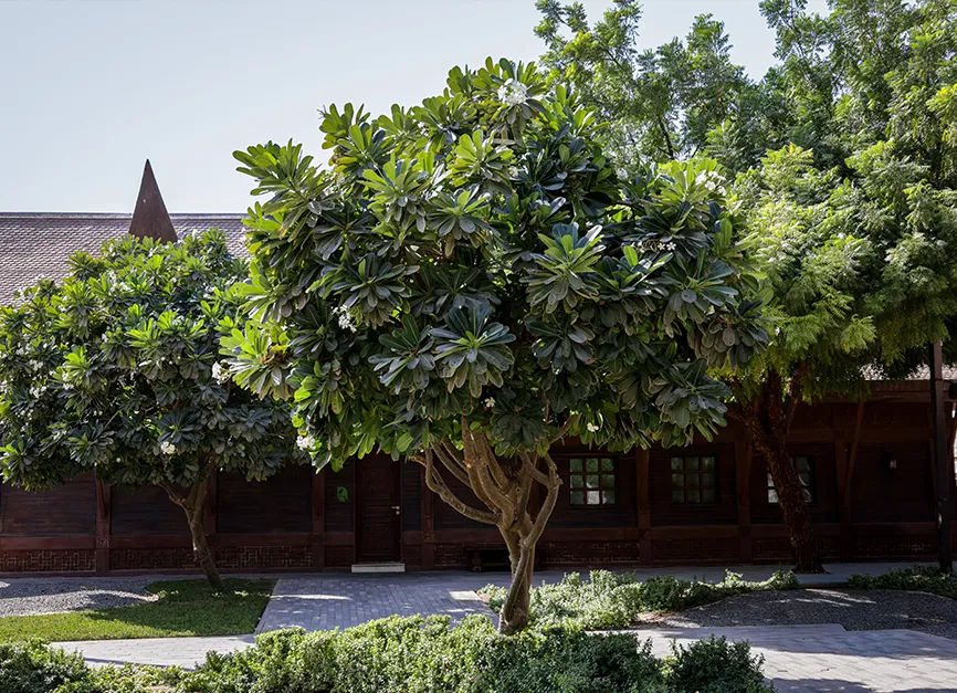 Precision Pruning and Canopy Maintenance