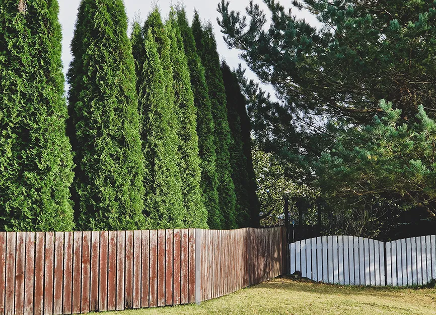 Privacy Semi Privacy Fencing