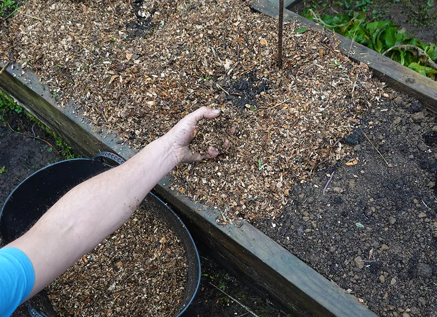 Protective Winter Mulch Installation