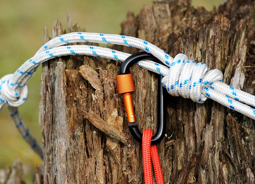 Winch Cable Stump Pulling